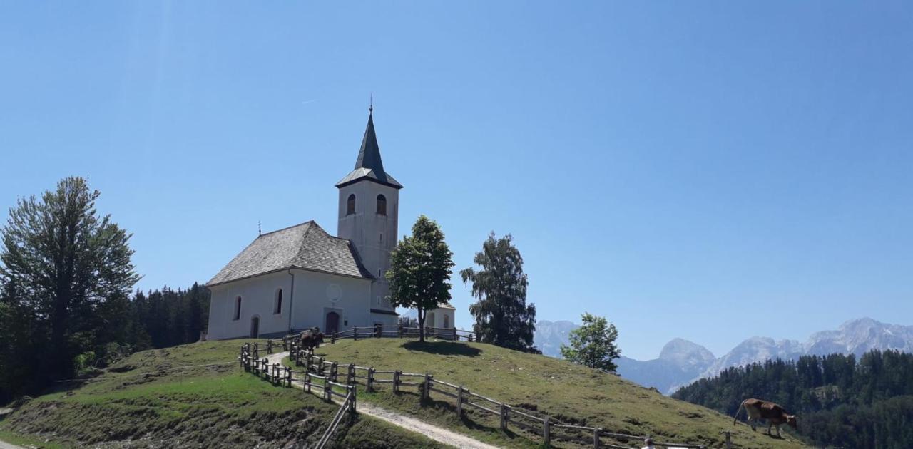 Apartma Julija Luče Exteriér fotografie