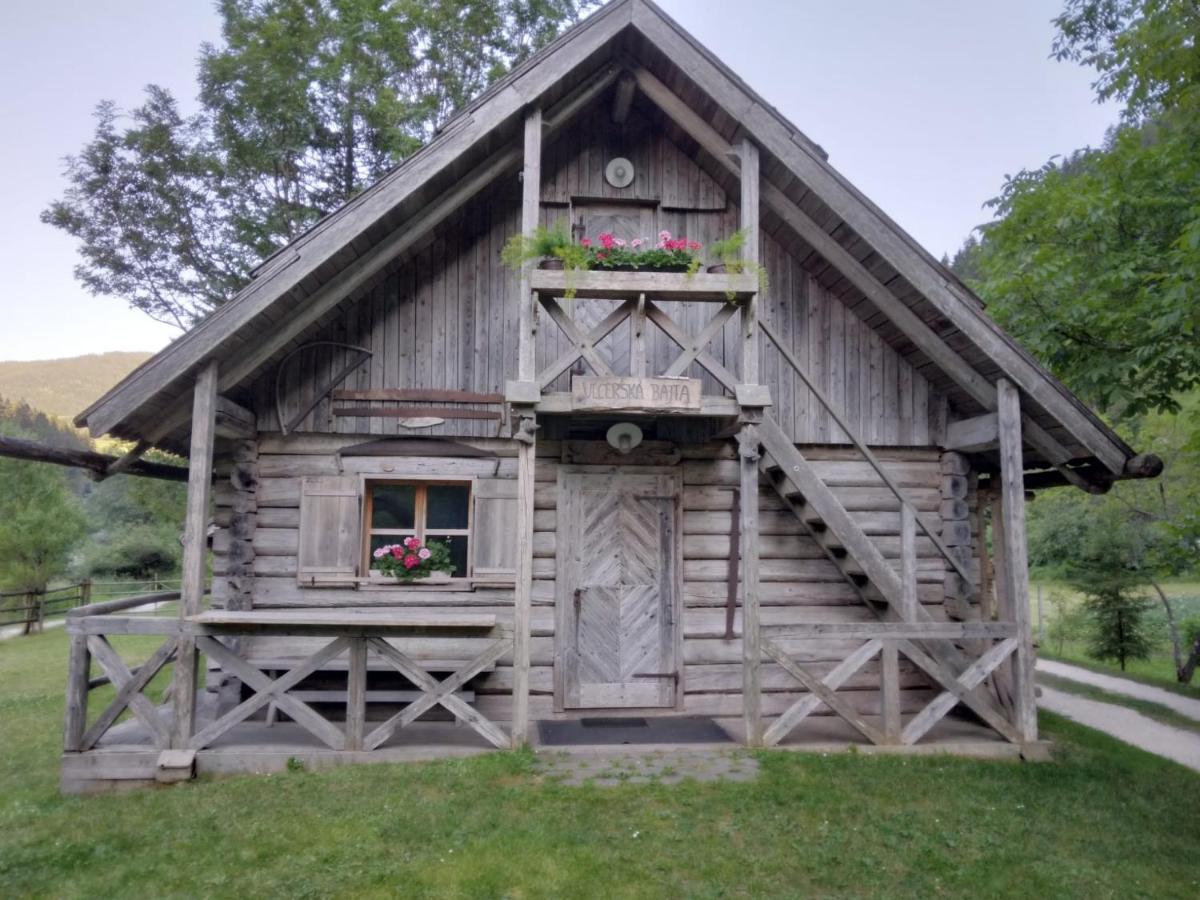 Apartma Julija Luče Exteriér fotografie